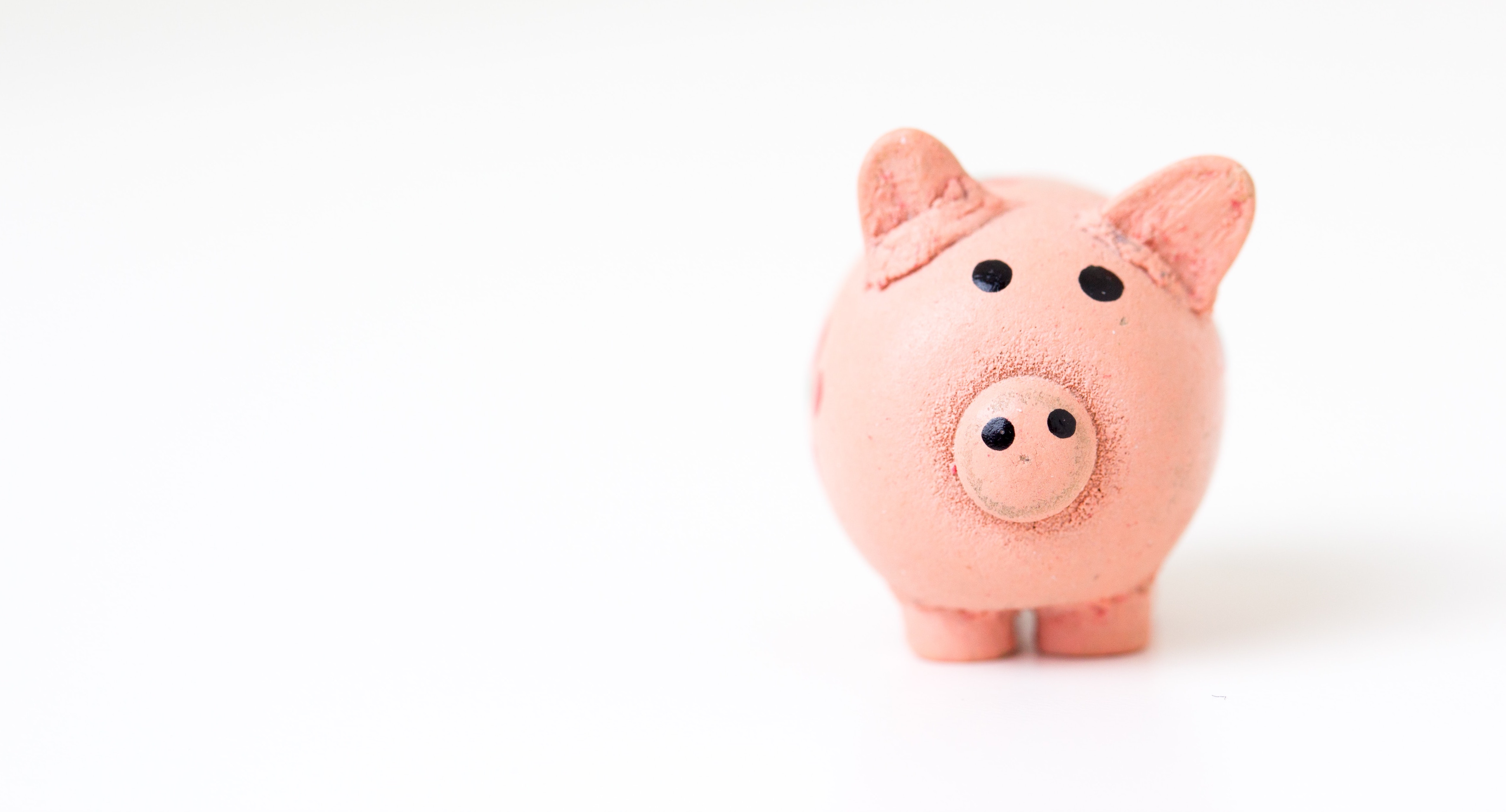 Pink piggy bank - wealth management and net worth tracking